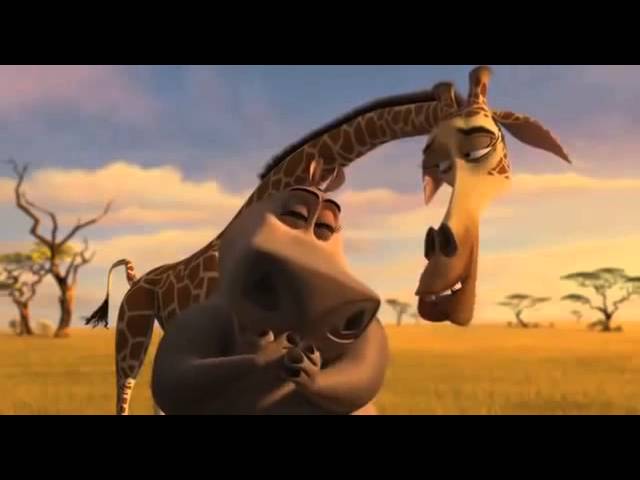 Жираф и бегемот из мадагаскара любовь картинки