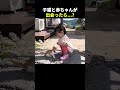赤ちゃんと子猫の初めての出会い