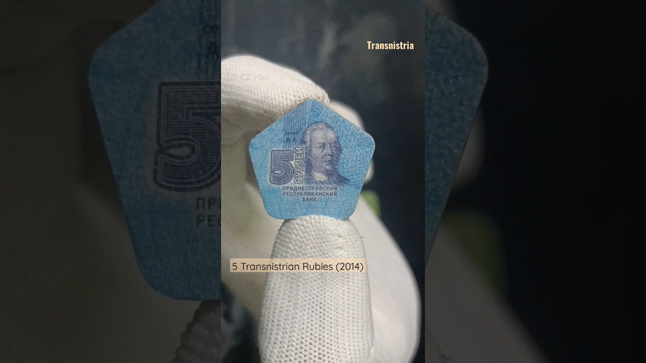 🌍 Transnistria 5 Rubles Plastic Circulation Coin (2014) 