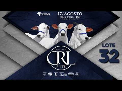 LOTE 32   NCRL 940