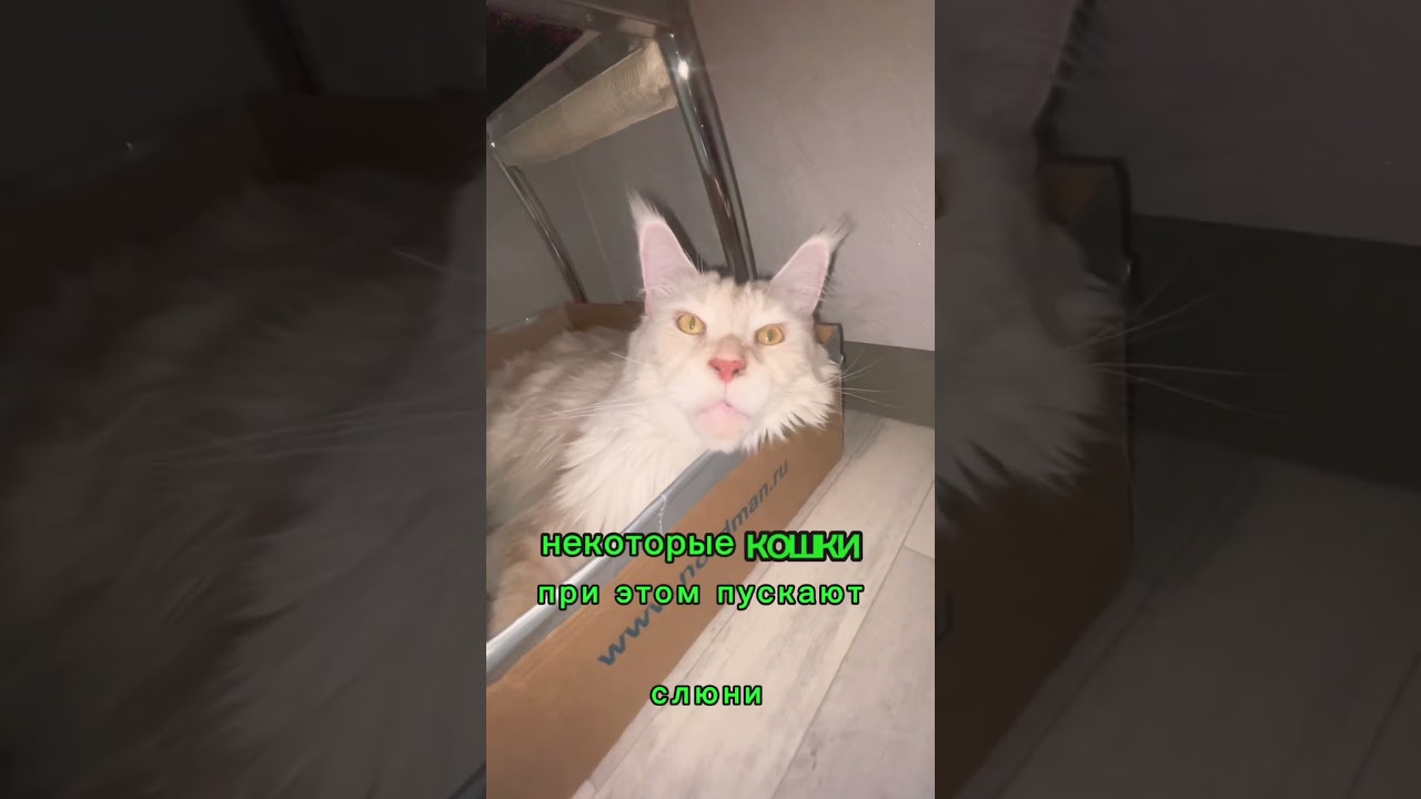 А вас топчут?😀 