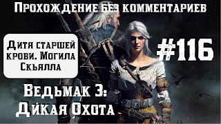 Ведьмак 3: Дикая Охота #116 ► Дитя старшей крови ► Могила Скьялла ► [#witcher3]