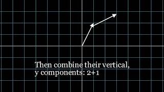 Famous Vector Basics: Manim Animation Style Net Worth