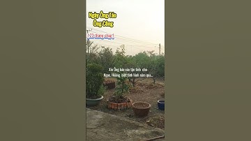 Nay 23 Tháng Chạp rồi, đưa Ông Công Ông Táo về trời cả nhà ơi ! #23thangchap #Tet2025