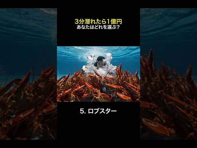 3分潜れたら1億円、あなたはどれを選ぶ？#bnya #ASMR #Shorts #NoTalking #satisfying