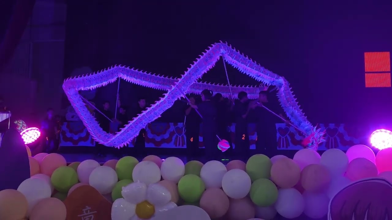 2024宽柔一小恳亲晚会夜光龙