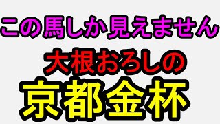 京都金杯2026!すべてが向く!自信あり【競馬予想】