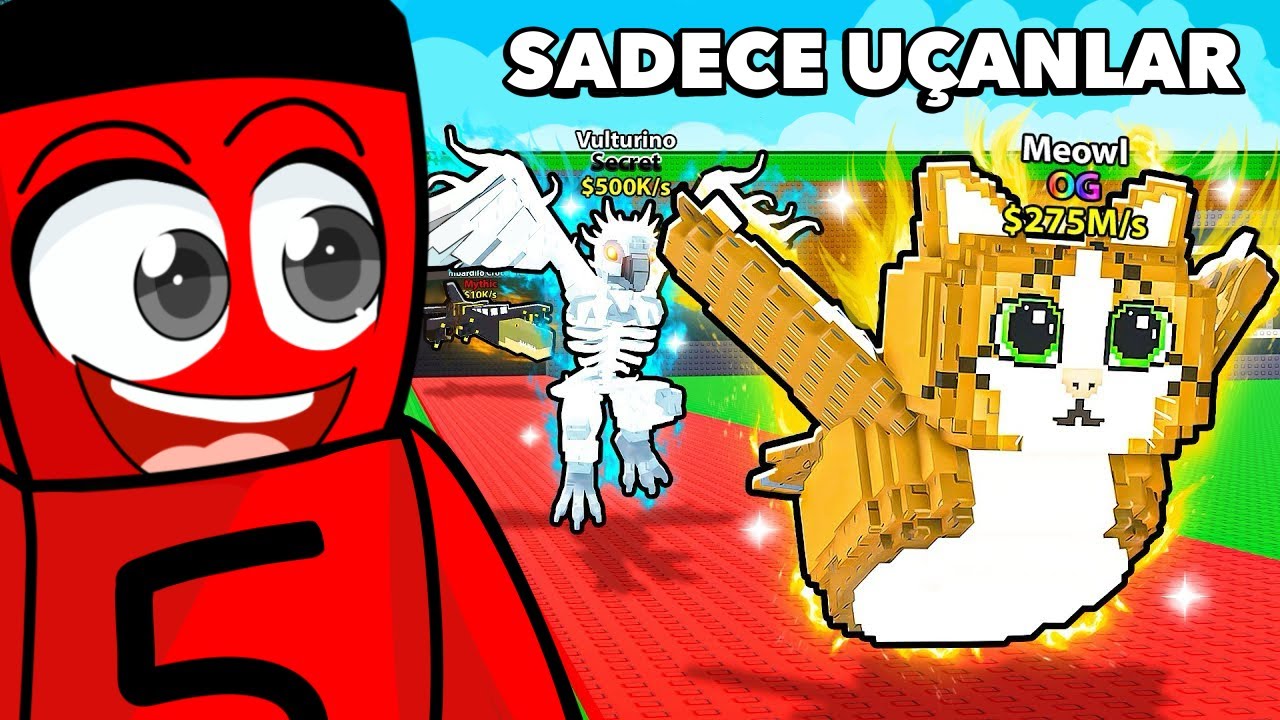 0'dan 1.000.000 TL'ye SADECE UÇAN BRAINROTLAR ile Ulaştım !! - Steal A Brainrot