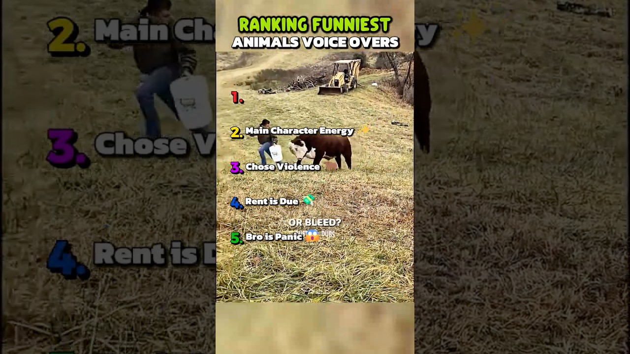 Ranking the funniest animal voice overs 🤣 