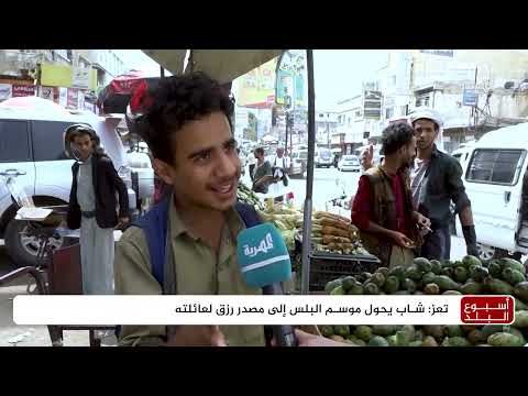 البلس: فاكهة يمنية تعيل أسرًا في ظل الظروف الاقتصادية