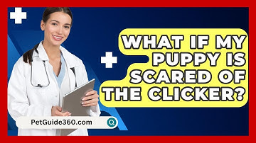 What If My Puppy Is Scared Of The Clicker? - PetGuide360.com