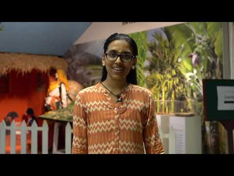 Alumni Interview: Lakshmi S, PhD Graduate from Georgia Tech at Amritapuri Campus | Alumini 2018, EEE