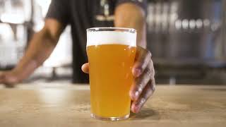 Top Breweries in the Charleston Area