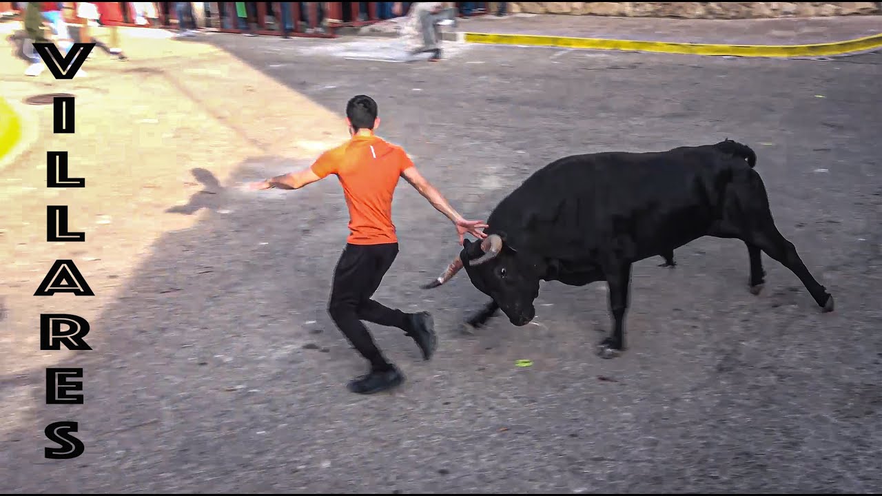 Villares Encierro Toros 16-03-24 (Elche de la Sierra)