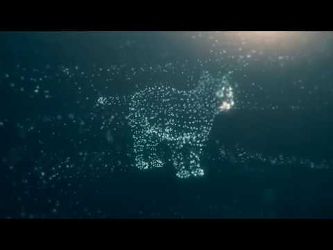 Trapcode Form Test 3