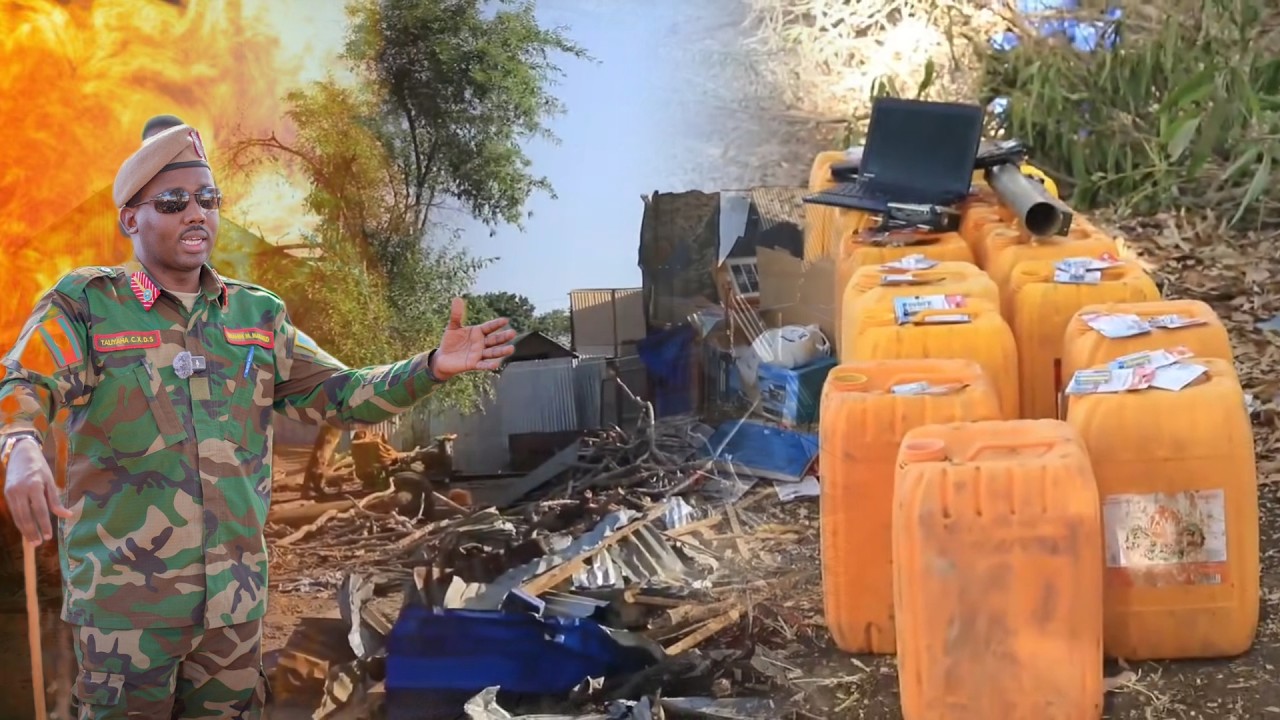 Arin Yaab leh oo lagu arkay Deegaan AS Laga saaray dhawaan.