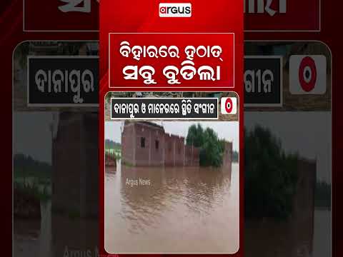 ବିହାରରେ ହଠାତ୍‌ ସବୁ ବୁଡିଲା | Bihar Flood Fury: Ganga & Sone River Water Level Rising