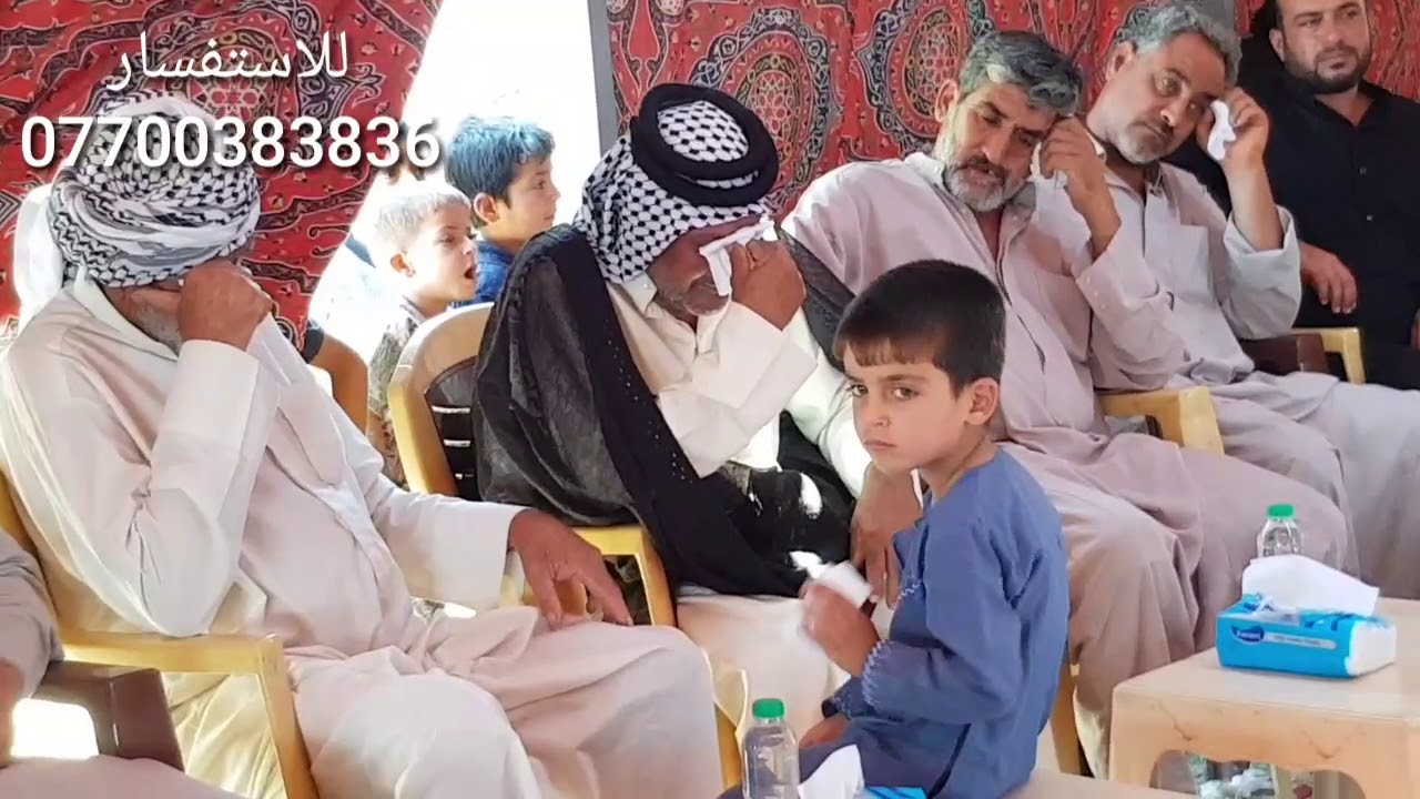 شلع كلب العالم ملا عباس فاتحة الشويلات المرحوم شبوط  صالح 😭😭😭😭😭