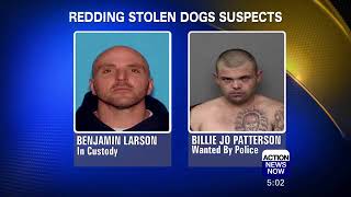 One Show Dog Thief Arrested, One Still on the Loose