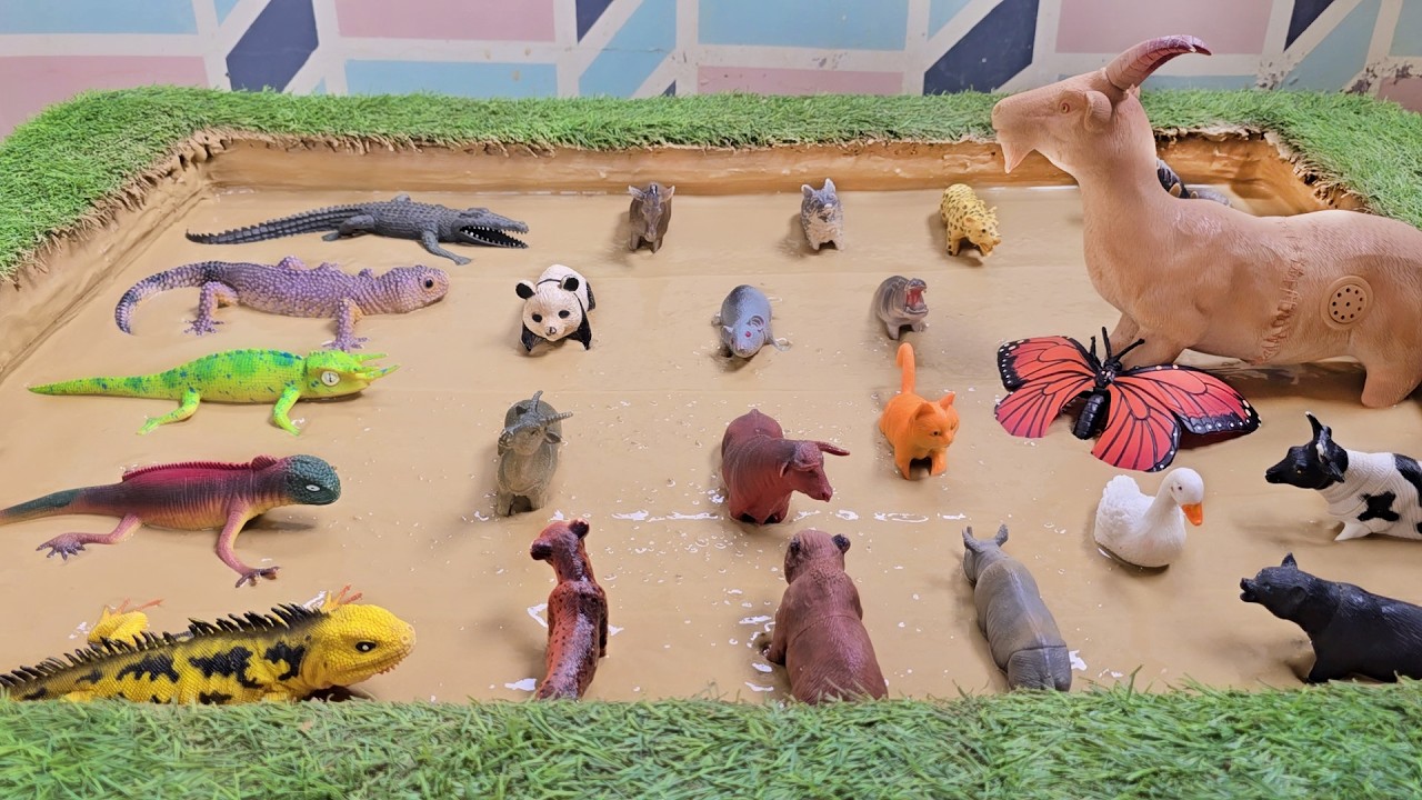 Animal Adaptations and Survival Strategies