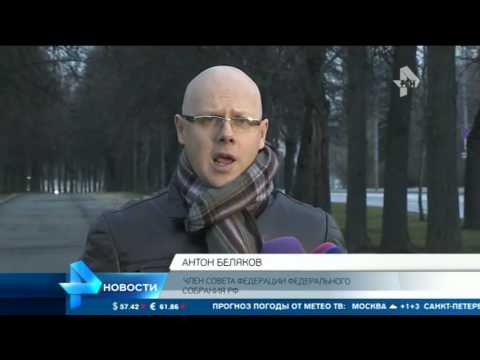 Мораторий на суррогатное материнство