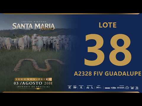LOTE 38 FGTA 2328