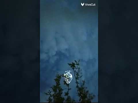 قران كريم اكتب شي تؤجر عليه الرحمن اكسبلور المصحف لايك 