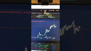 Bonk Meme Coin On Solana Is Going To Take Off