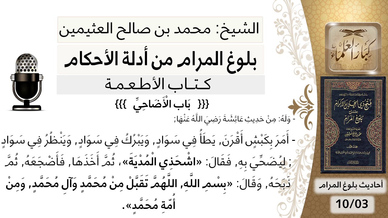30   بلوغ المرام – شرح حديث عائشة أمر بكبش أقرن يطأ في سواد - الشيخ محمد بن صالح العثيمين