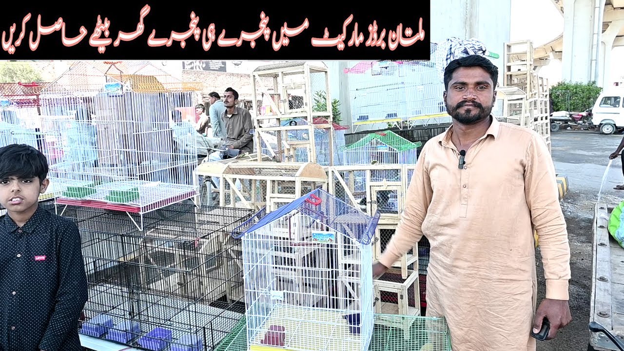 Cheap Price Birds Cages in Multan Bird New Cages Wholesale Price