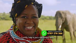 Zandile Ndlovu Explains How Wildlife Info Can Help Communities Living Near Animals | Wild Africa