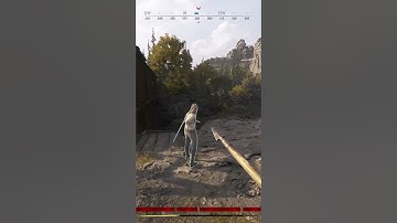 think my game crashed | Hunt: Showdown 1896