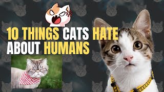 10 Things Cats Hate About Humans
