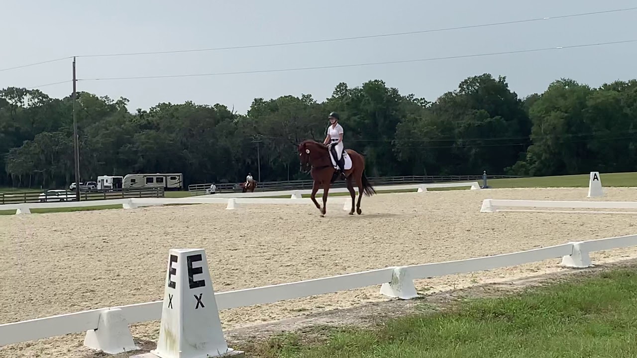 Rocking Horse Schooling Show Marvel YouTube