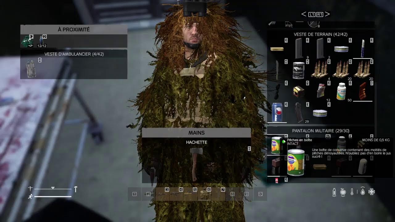 Session DayZ multi chill !