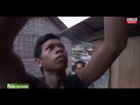 ჩვენი პლანეტა - ზღვის ცხენი