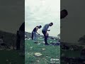 شه رفانو 