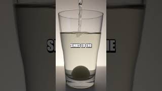 Floating Egg Experiment