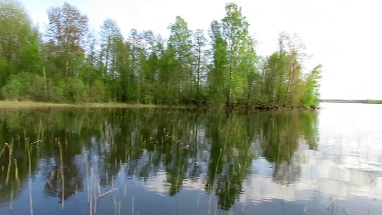 Озеро комсомольское приозерский район Озеро комсомольское приозерский район