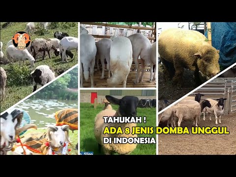 Video: Analisis tanah - penilaian komprehensif tentang keadaan tutupan tanah