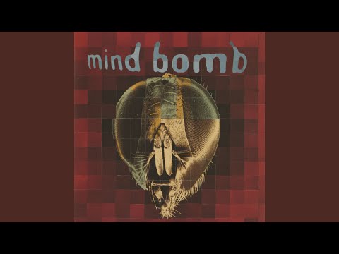Mind Bomb (2) — 40 Days
