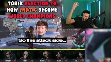 Tarik Reaction To 