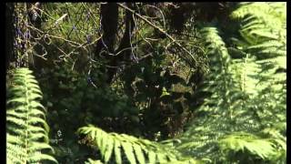 La policía cree que un conocido mató a Socorro Pérez