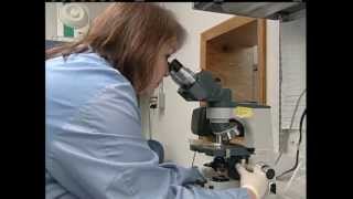 BIOSHIELD®75