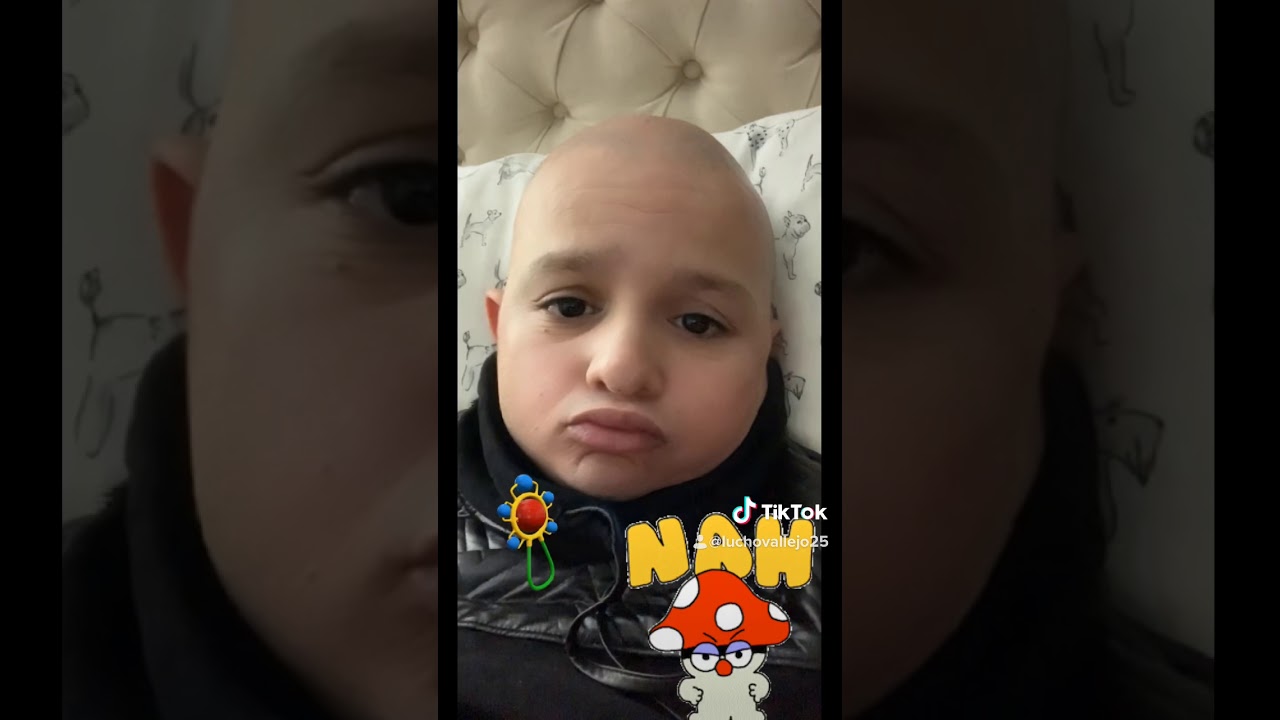 Quien me sigue en TikTok YouTube