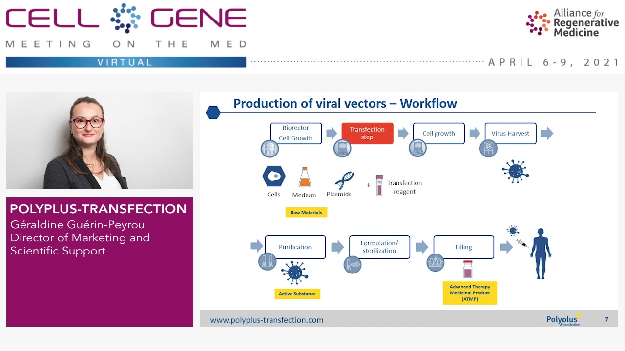 Polyplus transfection