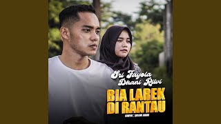 Video thumbnail of "Sri Fayola - Bia Larek Di Rantau (feat. Dhani Rilvi)"