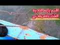 صيد البوري بكميات كبيرة من رشيد