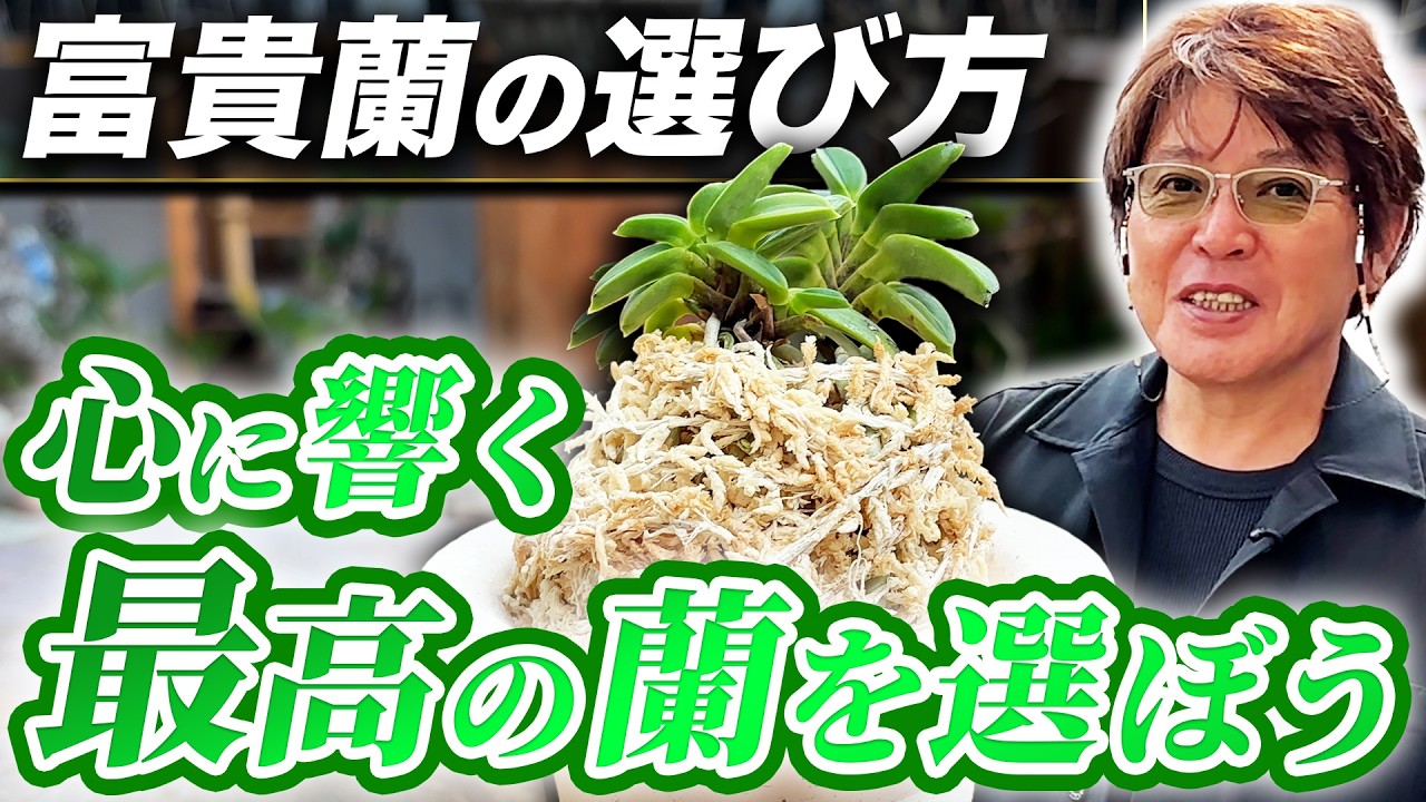 Complete Guide] Even Beginners Can Do It! A 40-Year Craftsman's