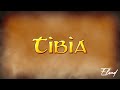 Tibia - Youtube y Twitch a la vez